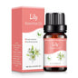 Aromatherapy Humidifier Water Soluble Essential Oil